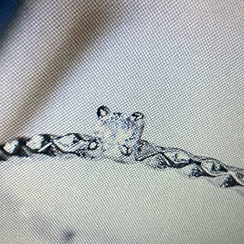 Antian Accessories™ 925 Sterling Silver Open Adjustable Ring – Size 4 to 6